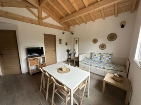 apparement 6 personnes avec jardin